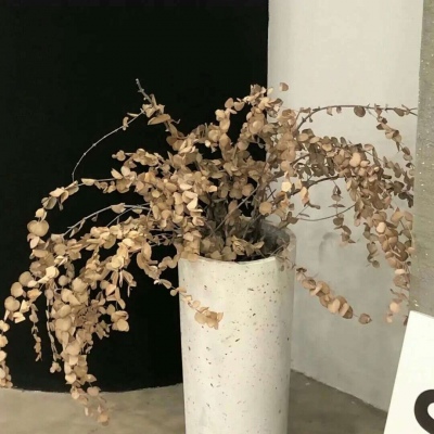 米易福瑞交流群